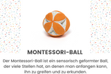 5-6 Monate - Play Box 'Was ist los'