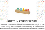 21-22 Monate - Play Box 'Kleiner Einstein'
